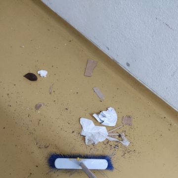 Manuela Santana - Amadora - House Cleaning (Recurring)