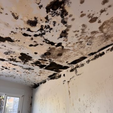Aurora Clean - Gondomar - Haushalt organisieren