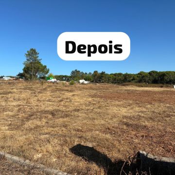 Terra Limpa - Limpeza de terrenos e Silvicultura - Coruche - Remoção de Arbustos