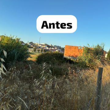 Terra Limpa - Limpeza de terrenos e Silvicultura - Coruche - Jardinagem