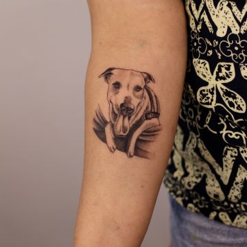 Walan - Porto - Diseño de logos