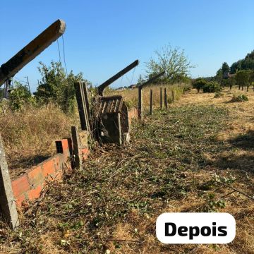 Terra Limpa - Limpeza de terrenos e Silvicultura - Coruche - Remoção de Ervas Daninhas