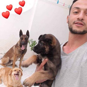 K9s - Odivelas - Tradução de Francês