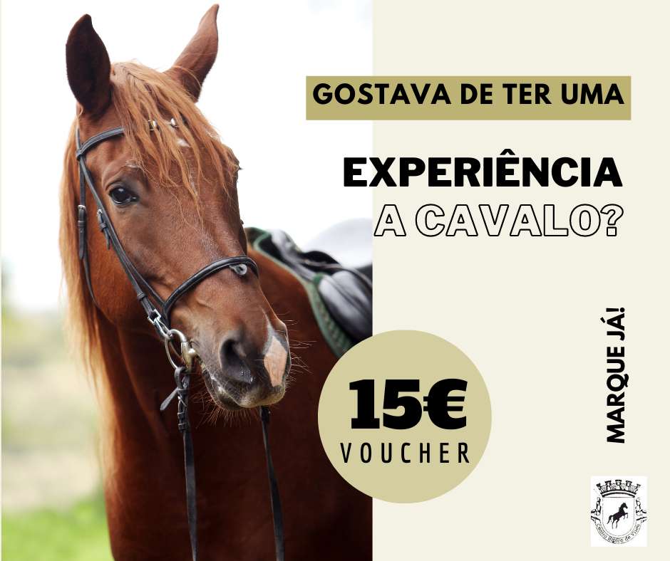 Joana Gomes - Coimbra - Presentation Services