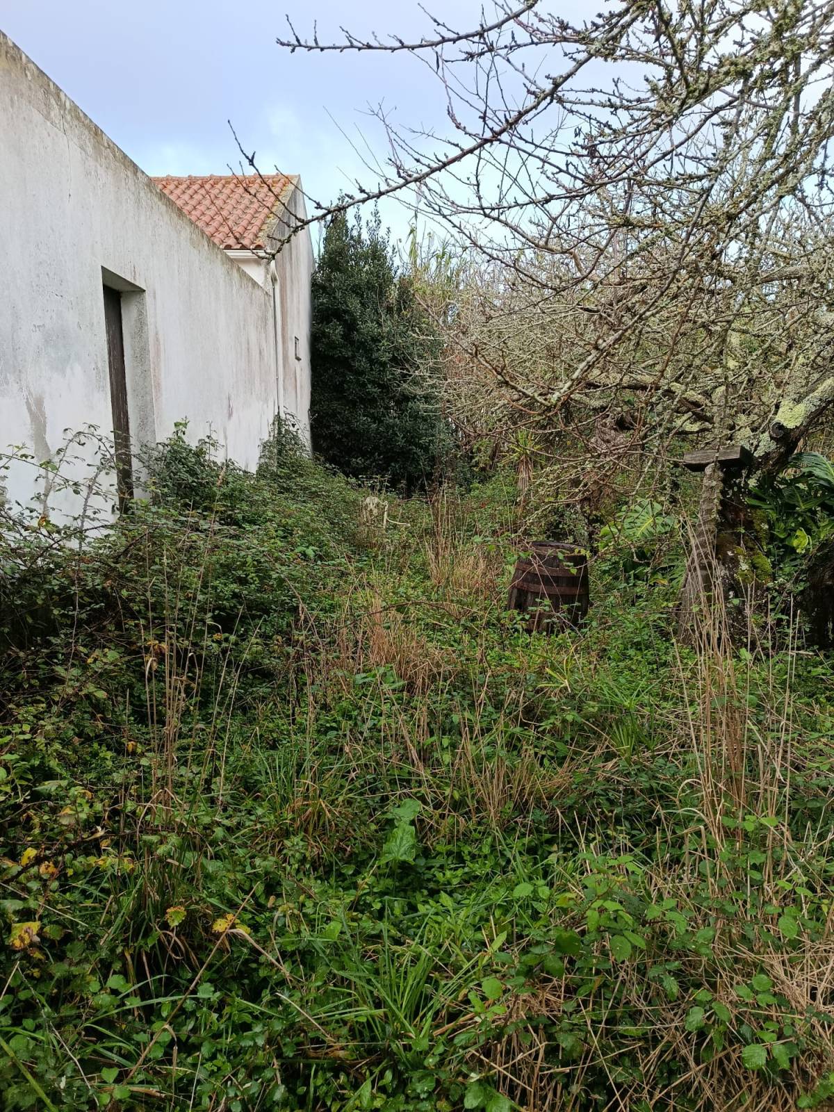 CS Soluções - Lourinhã - Insonorisation