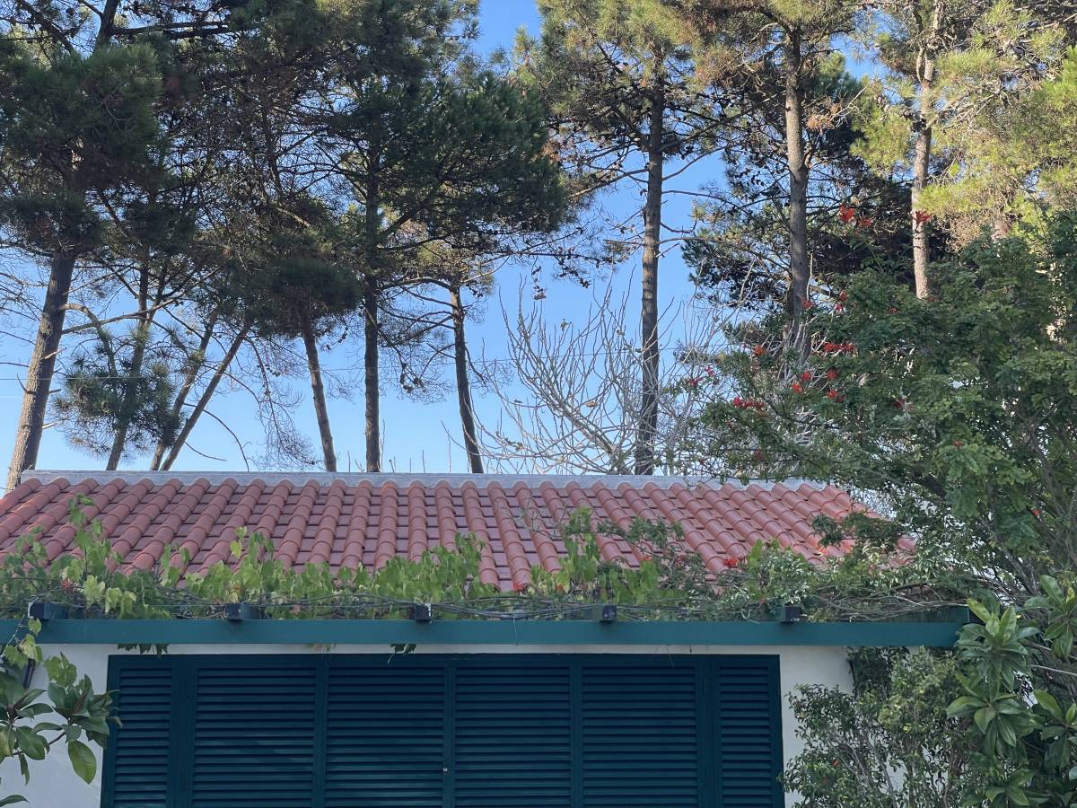 RUDI remodelações - Almada - Roofing