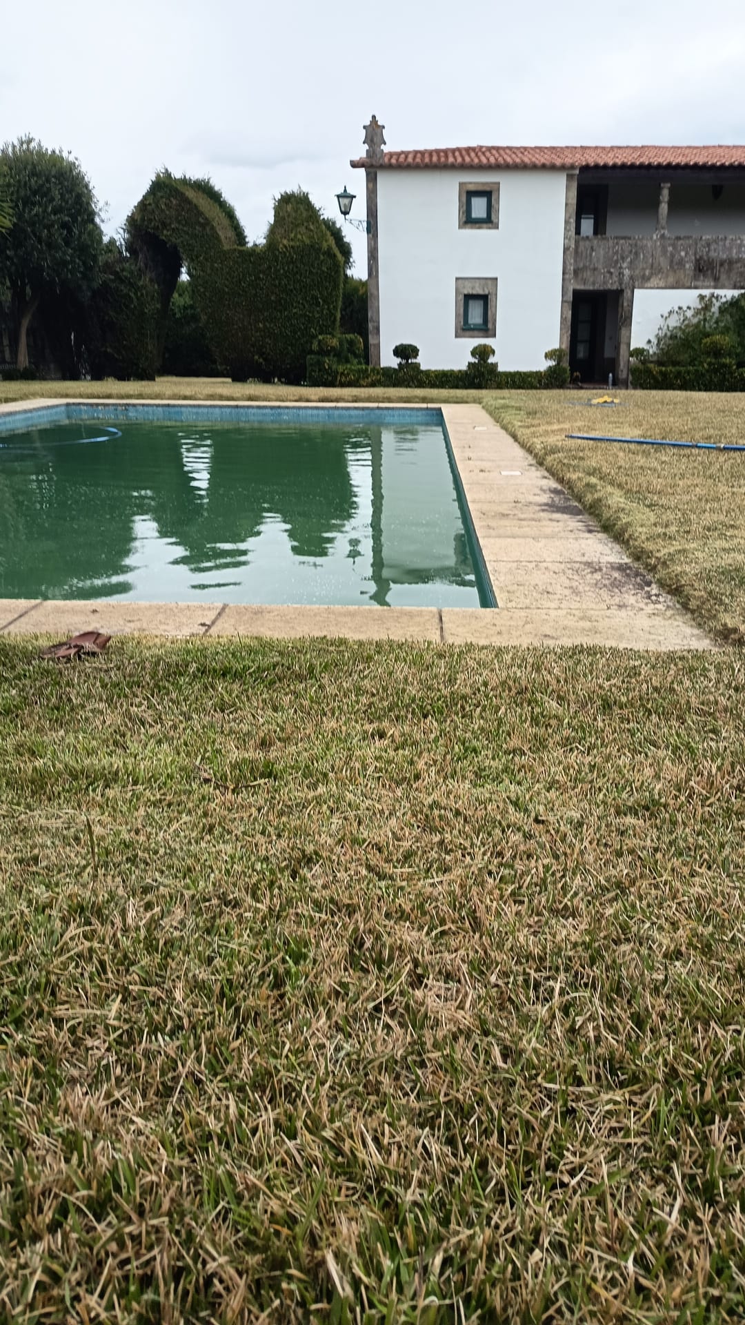 Plantar Serviços de Jardinagem - Gondomar - Instalação de Sauna
