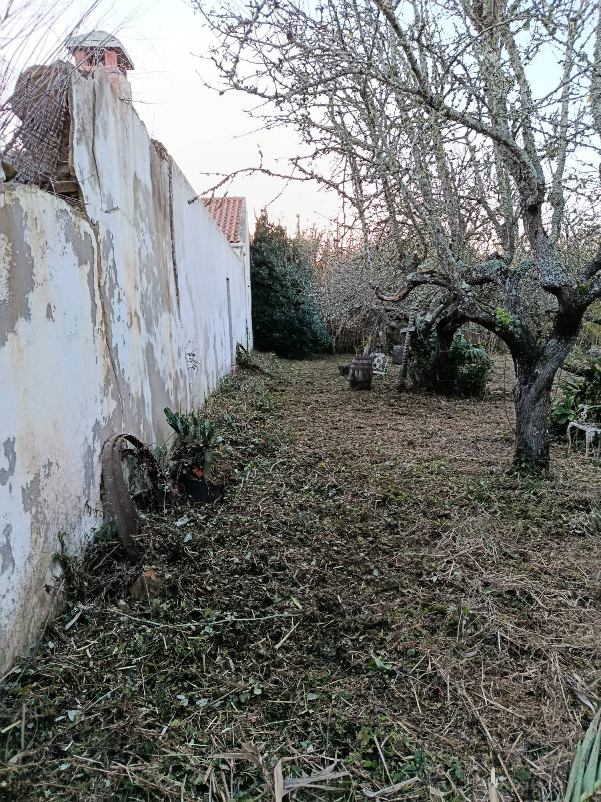 CS Soluções - Lourinhã - Entretien de pelouse