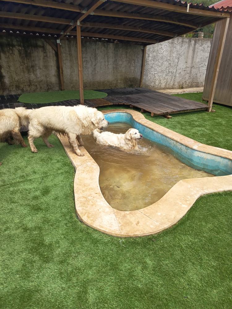 Plantar Serviços de Jardinagem - Gondomar - Limpeza e Manutenção de Jacuzzi e Spa