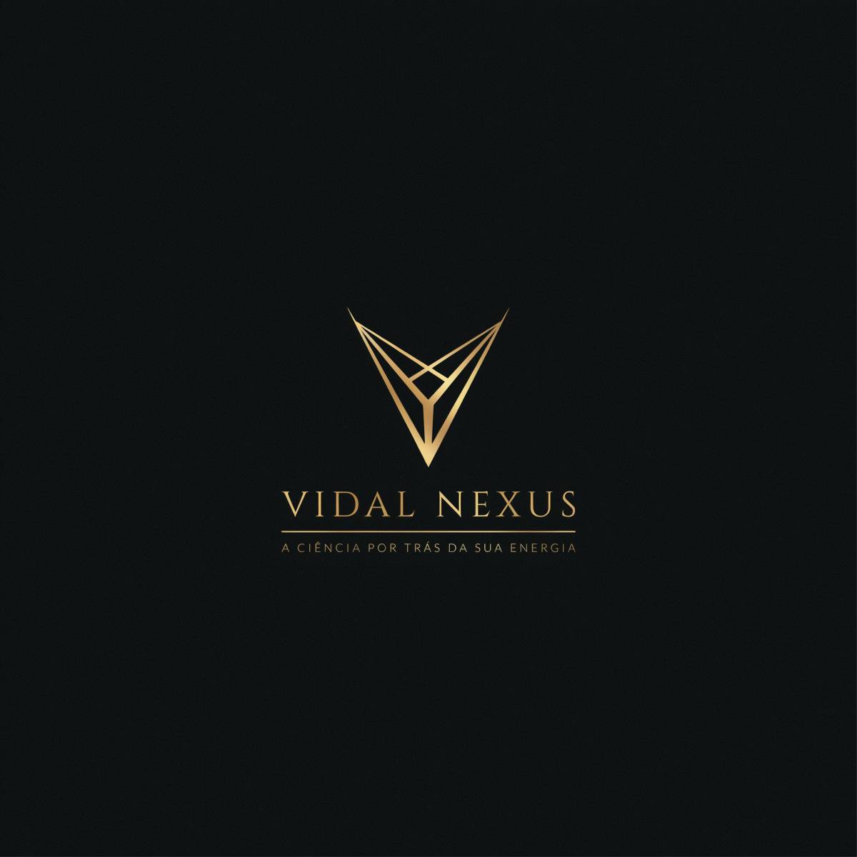 Vidal NEXUS - Santa Maria da Feira - Instalación de lámparas