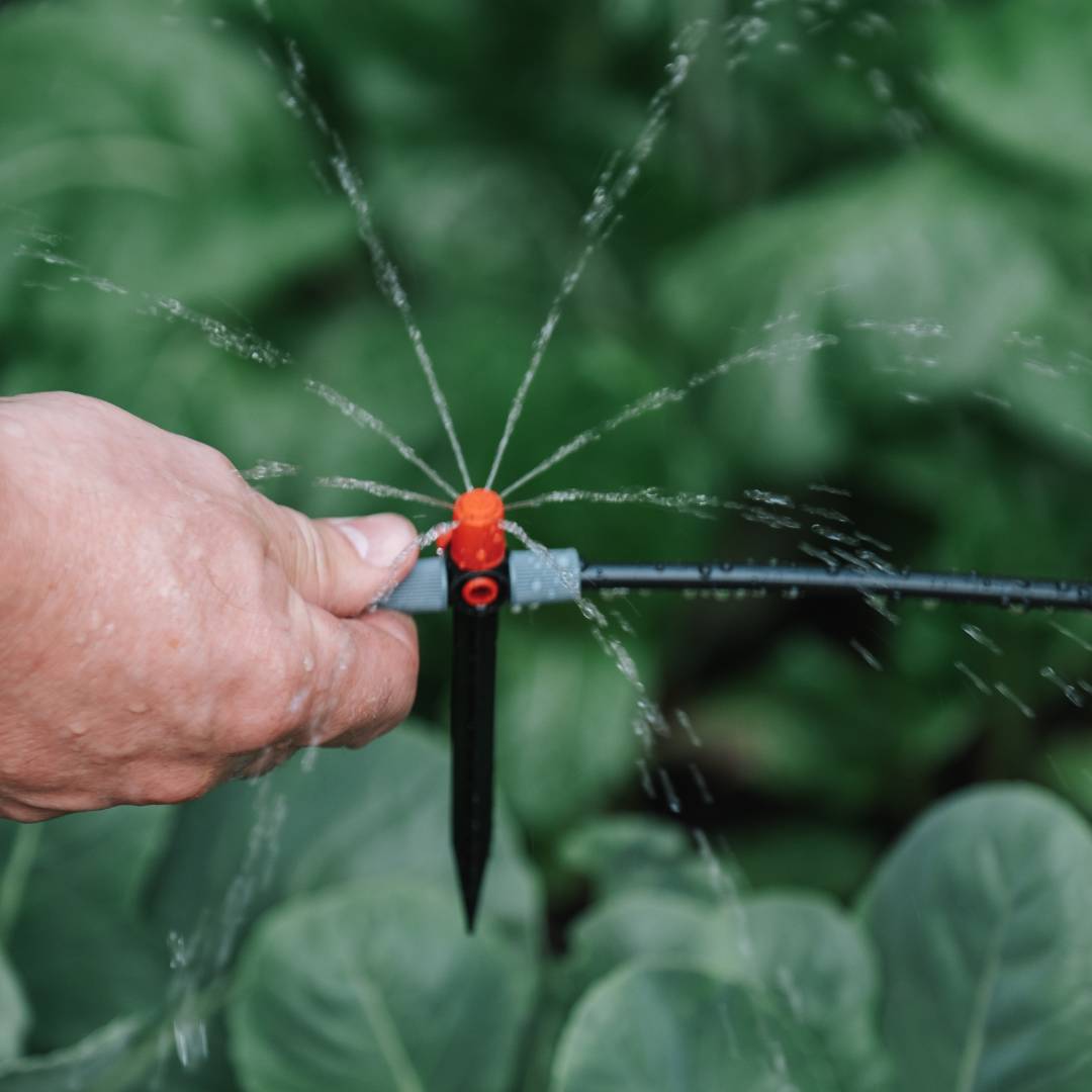 Plantar Serviços de Jardinagem - Gondomar - Estufas