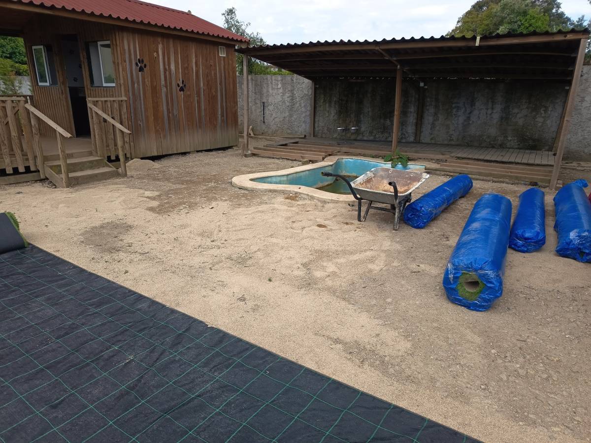 Plantar Serviços de Jardinagem - Gondomar - Poda e Manutenção de Árvores