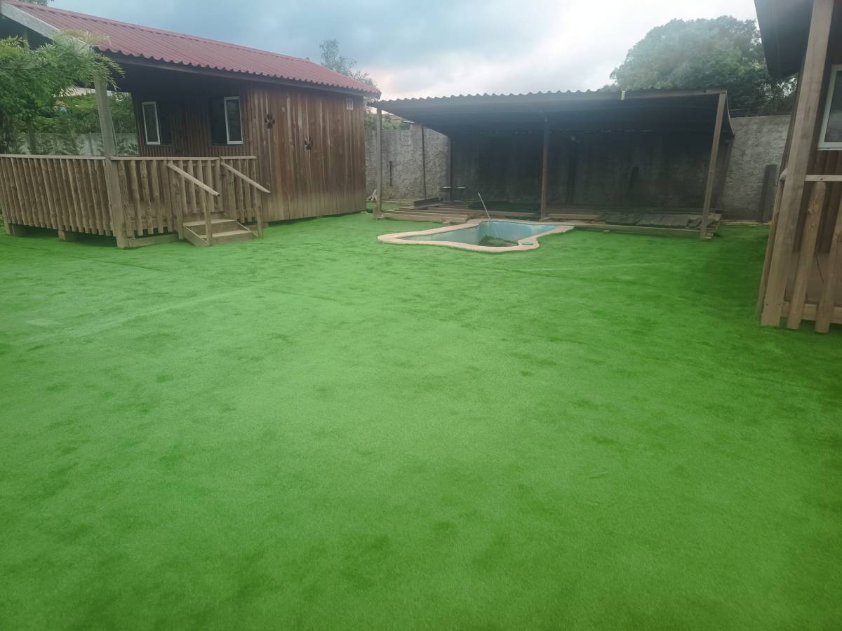 Plantar Serviços de Jardinagem - Gondomar - Remoção de Arbustos