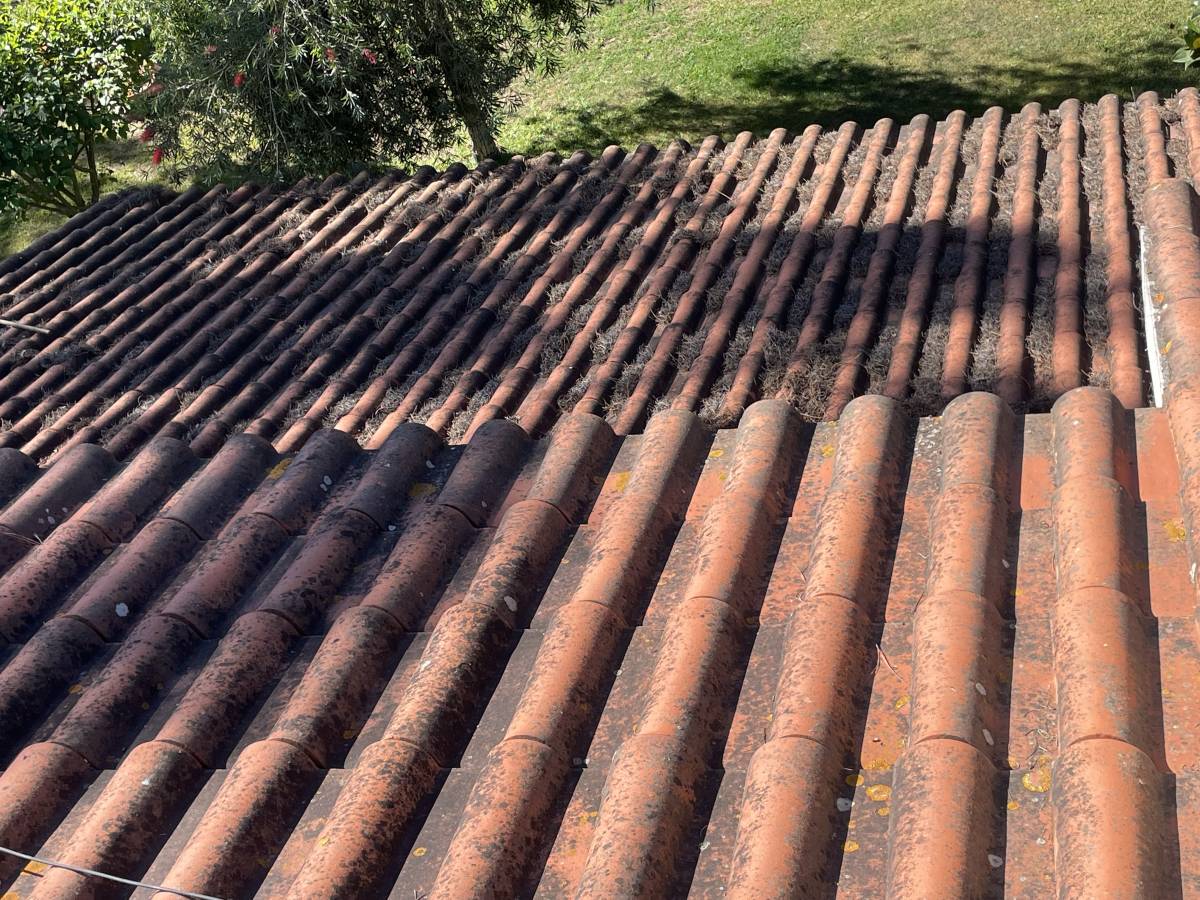 RUDI remodelações - Almada - Floating Flooring Installation