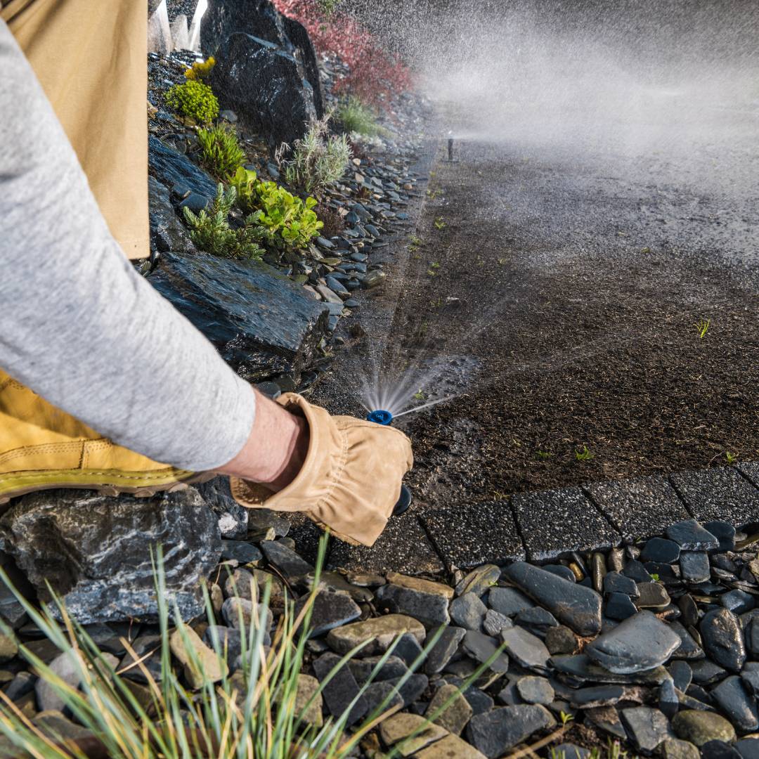 Plantar Serviços de Jardinagem - Gondomar - Paisagismo Exterior