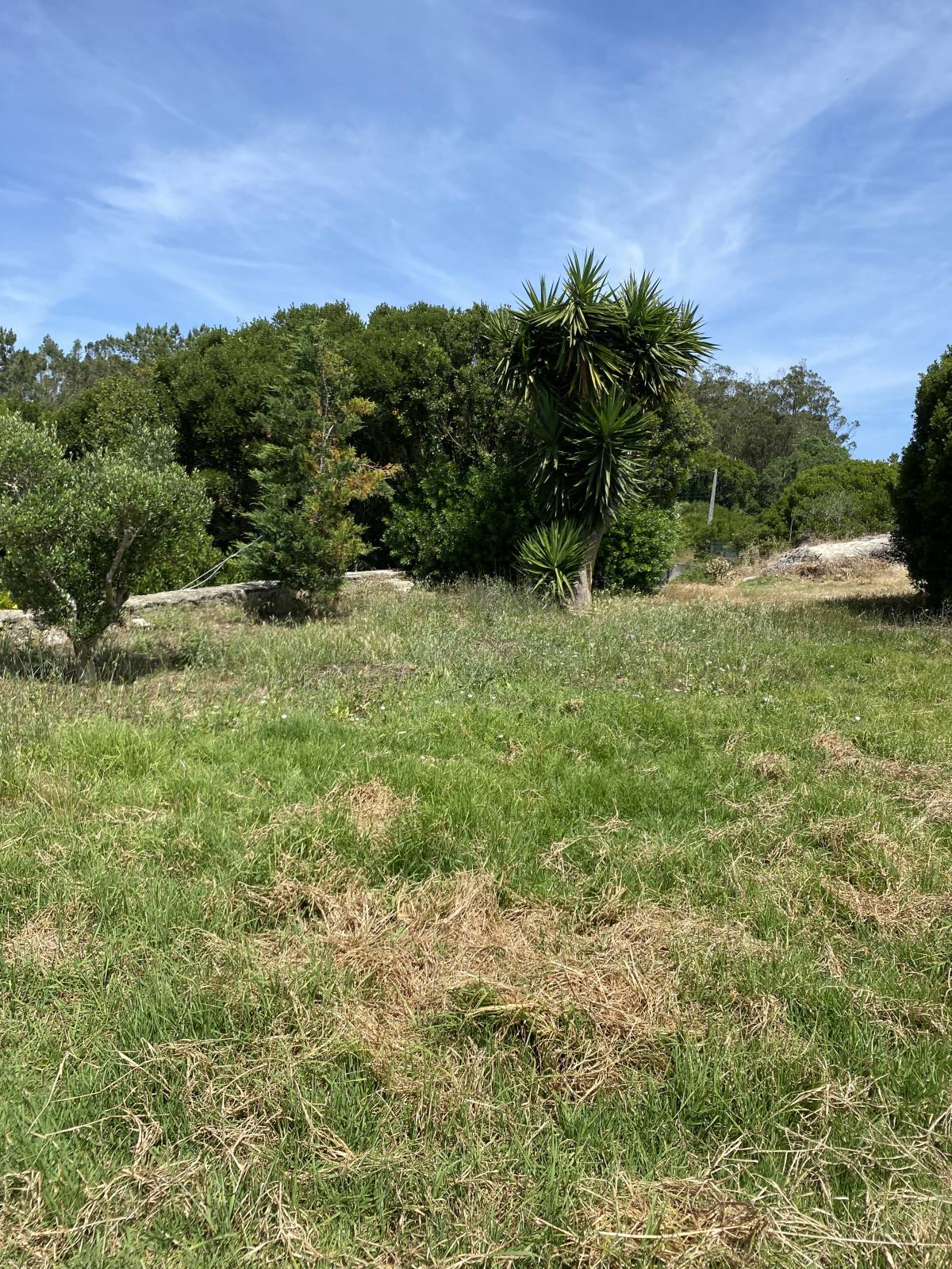 CS Soluções - Lourinhã - Pose de sols en pierre ou en carrelage