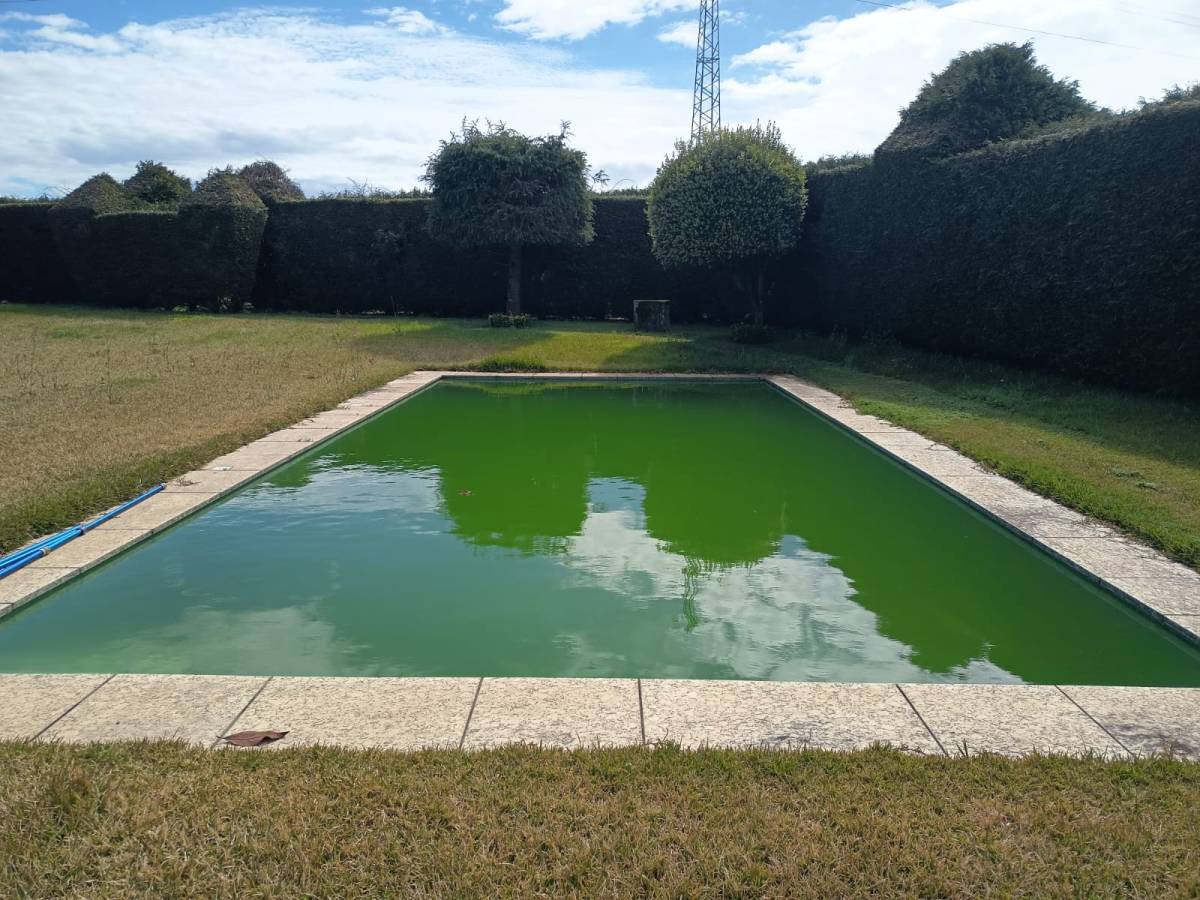 Plantar Serviços de Jardinagem - Gondomar - Jardinagem