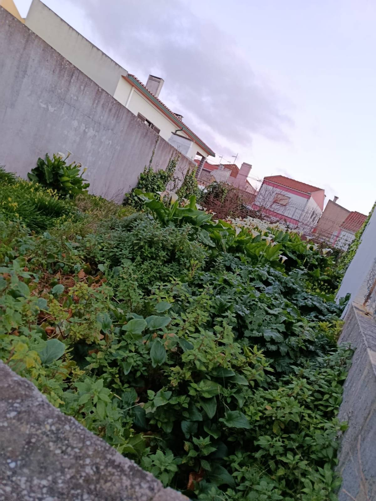 CS Soluções - Lourinhã - Serrurerie