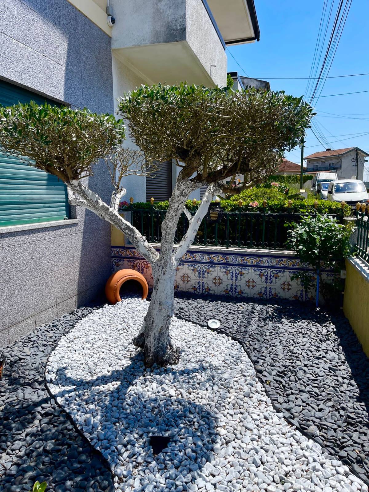 Plantar Serviços de Jardinagem - Gondomar - Poda e Manutenção de Árvores