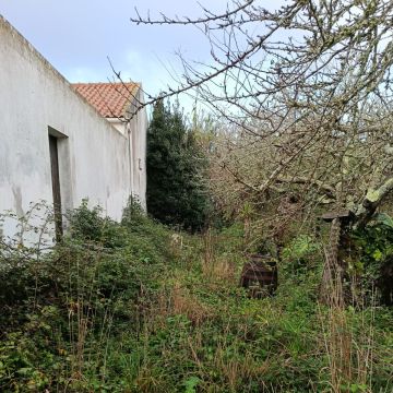 CS Soluções - Lourinhã - Insonorisation