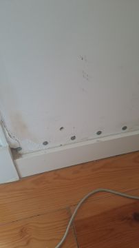 Stucco Specialist