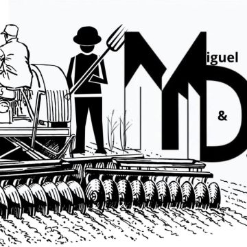 M&D Gestão AGRO-FLORESTAL - Barcelos - Instalación de césped artificial