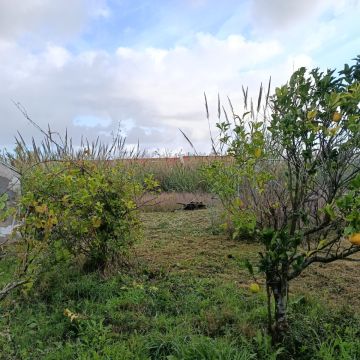 CS Soluções - Lourinhã - Fenêtres de toit