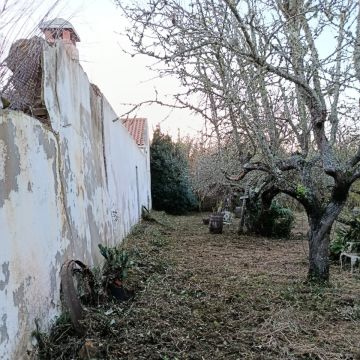 CS Soluções - Lourinhã - Entretien de pelouse