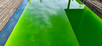 Plantar Serviços de Jardinagem - Gondomar - Limpeza ou Manutenção de Piscina