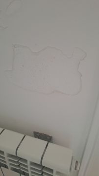 Stucco Application