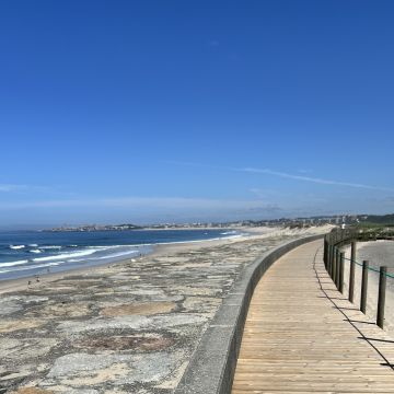 Marta Teixeira - Matosinhos - Cuidar tus mascotas