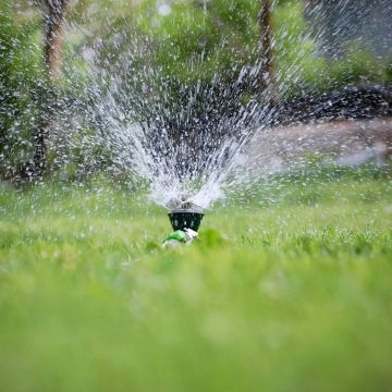 Plantar Serviços de Jardinagem - Gondomar - Tratamento de Relvado