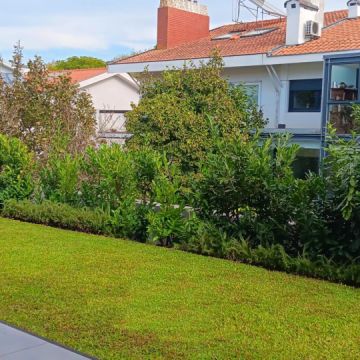 Plantar Serviços de Jardinagem - Gondomar - Instalação de Relva Artificial