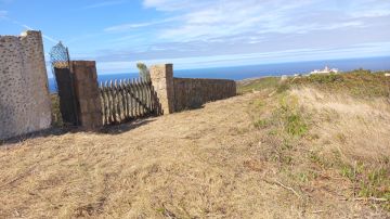 Carpas tents - Sintra - Deshierbo