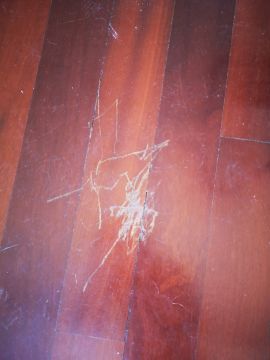 Flooring Specialist - Home Improvements