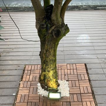DPS serviços - Torres Vedras - Pintura de exteriores