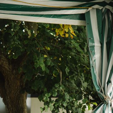 OLHAR - Fotografia Autêntica - Odivelas - Tauffotografie