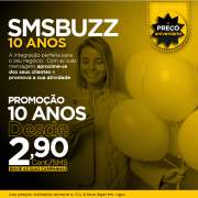 Joana Gomes - Coimbra - Google Ads Manager