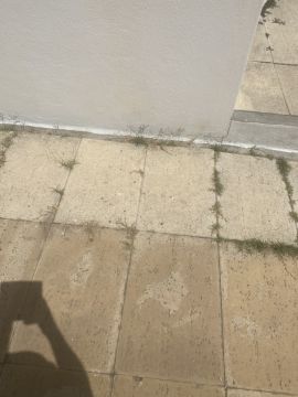 Descontaminación