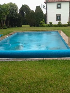 Plantar Serviços de Jardinagem - Gondomar - Remoção de Ervas Daninhas
