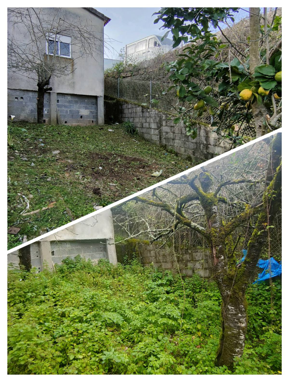 Jardineiro Multiservicos - Leiria - Gardening