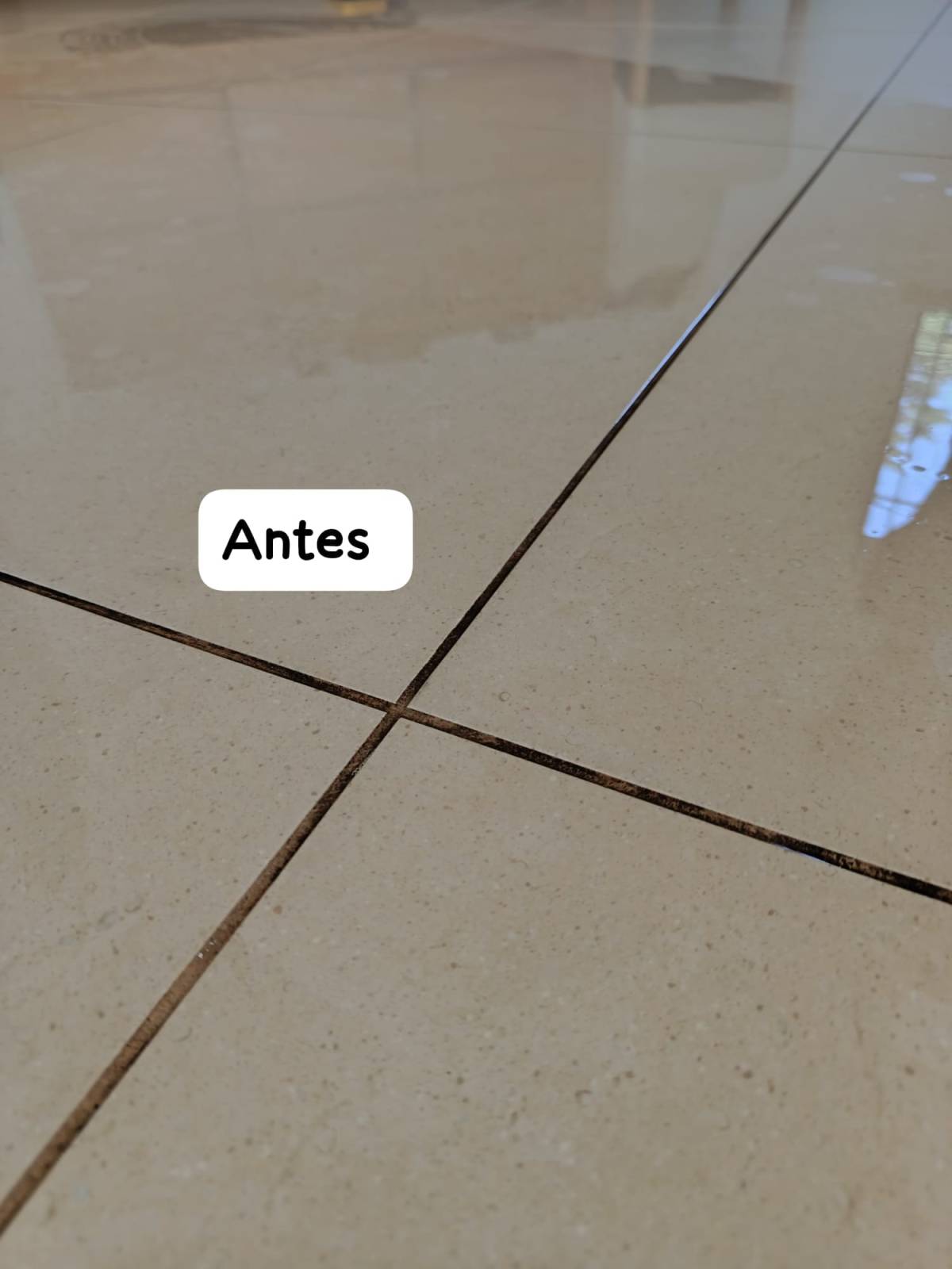 Toledo Cleaning - Silves - Wäscherei