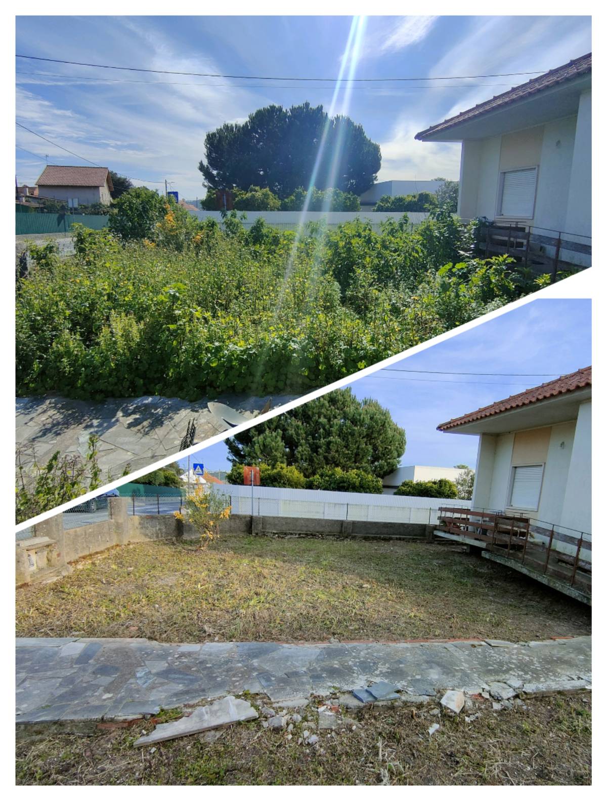 Jardineiro Multiservicos - Leiria - Condominium Management Services original