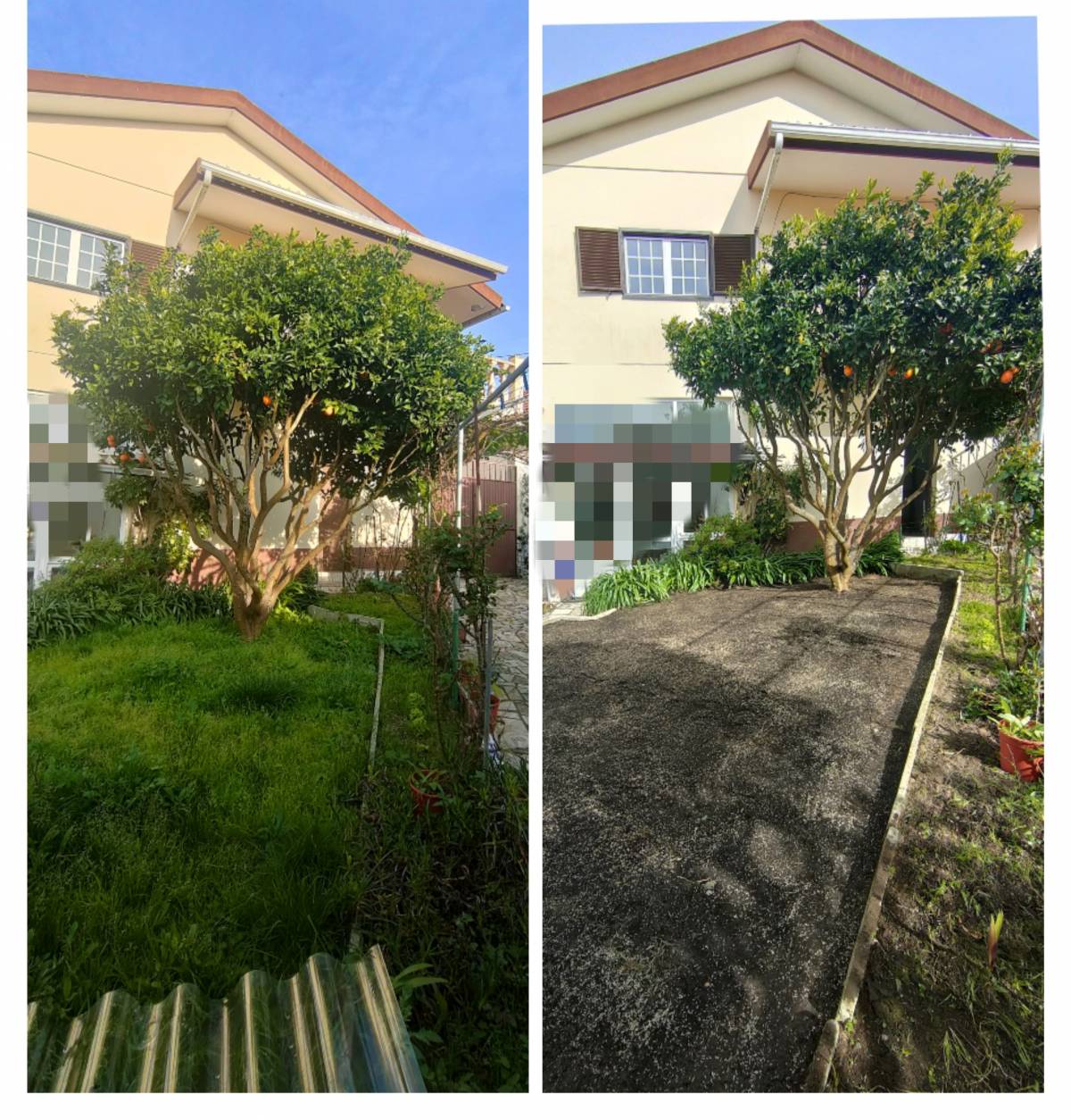 Jardineiro Multiservicos - Leiria - Multi Service Lawn Care