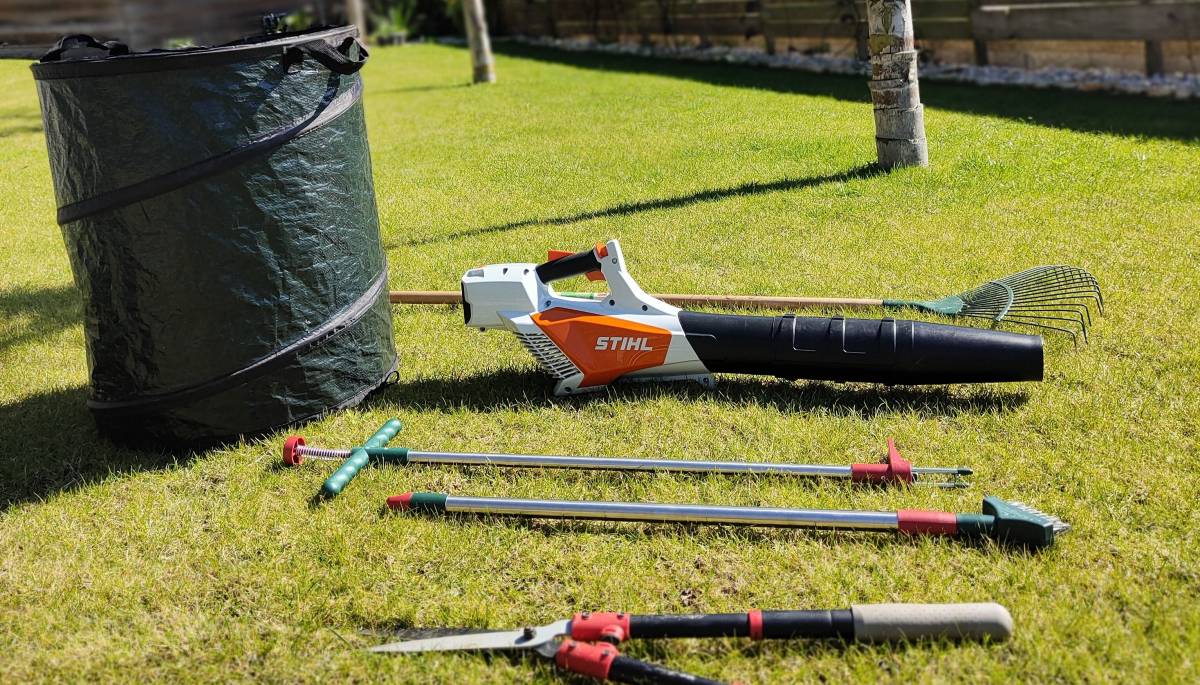 Jardineiro Multiservicos - Leiria - Tree Stump Grinding and Removal