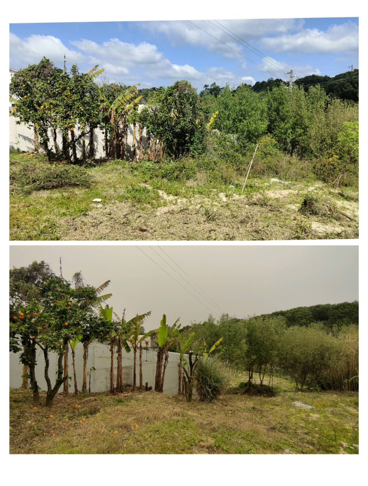 Jardineiro Multiservicos - Leiria - Pintura de Prédios