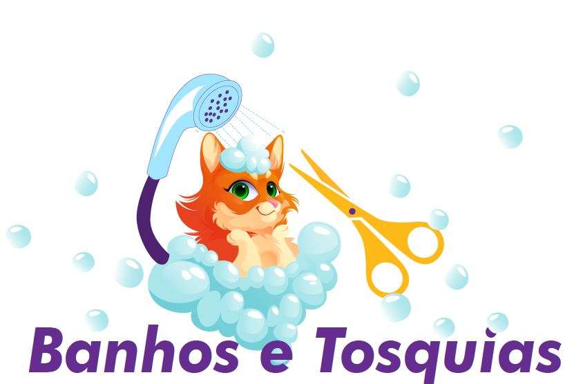 Ana Gonçalves - Aveiro - Cuidados para Gatos