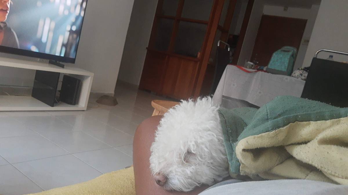 Mariana Gomes - Portimão - Hundetagesstätte (Hundesitter)