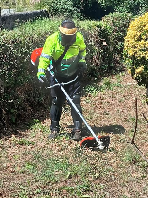 Manuel Pereira e Rui Silva - Porto - Plantation d’arbres