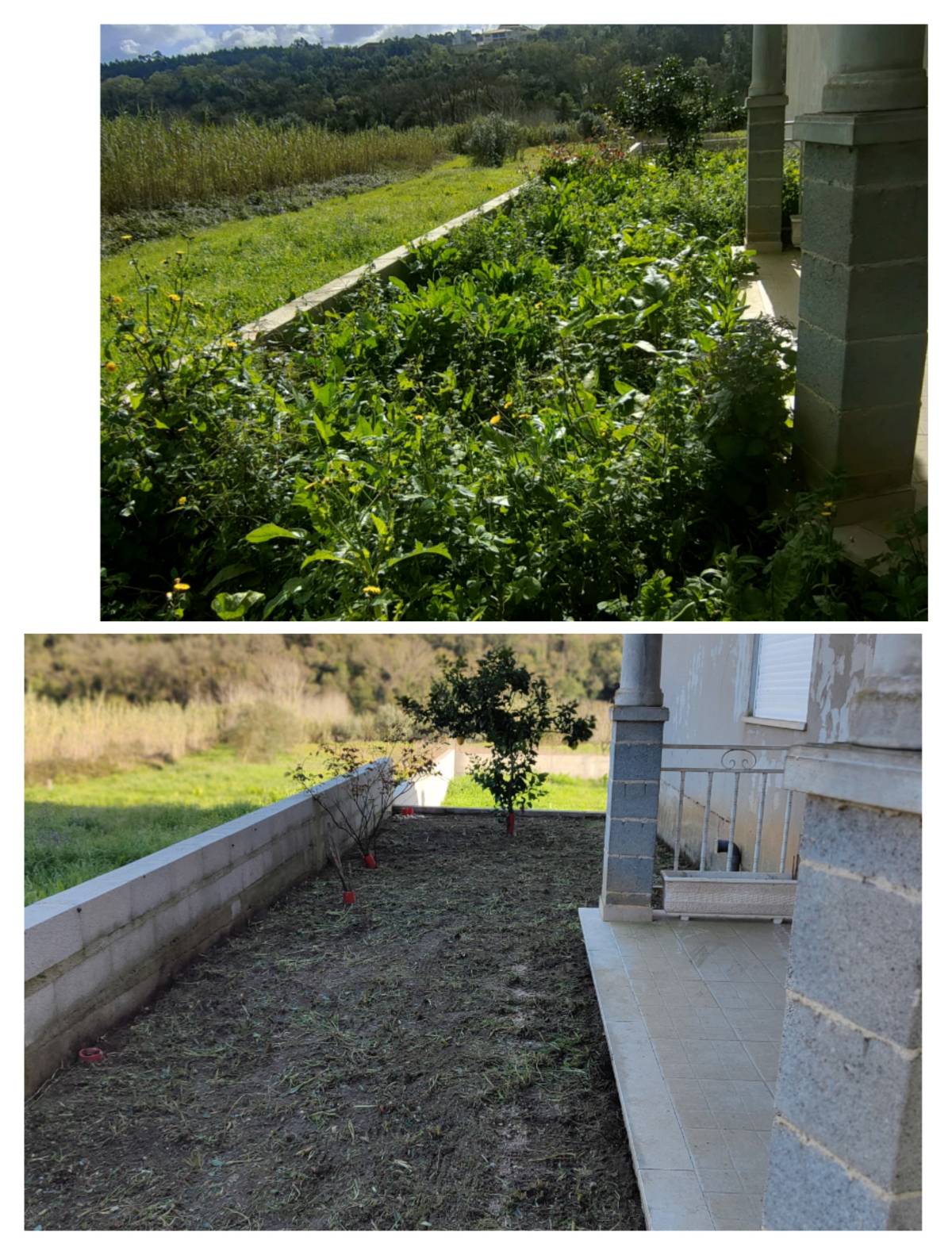 Jardineiro Multiservicos - Leiria - Deep or Spring Cleaning